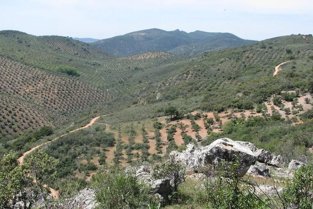 Cortijo 