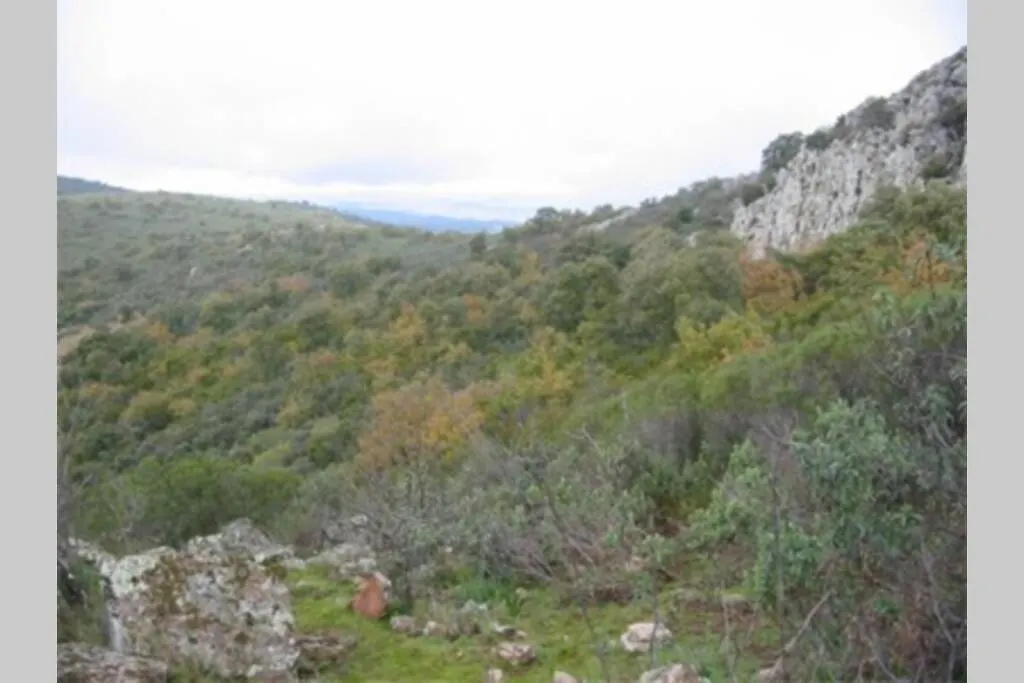 Cortijo 