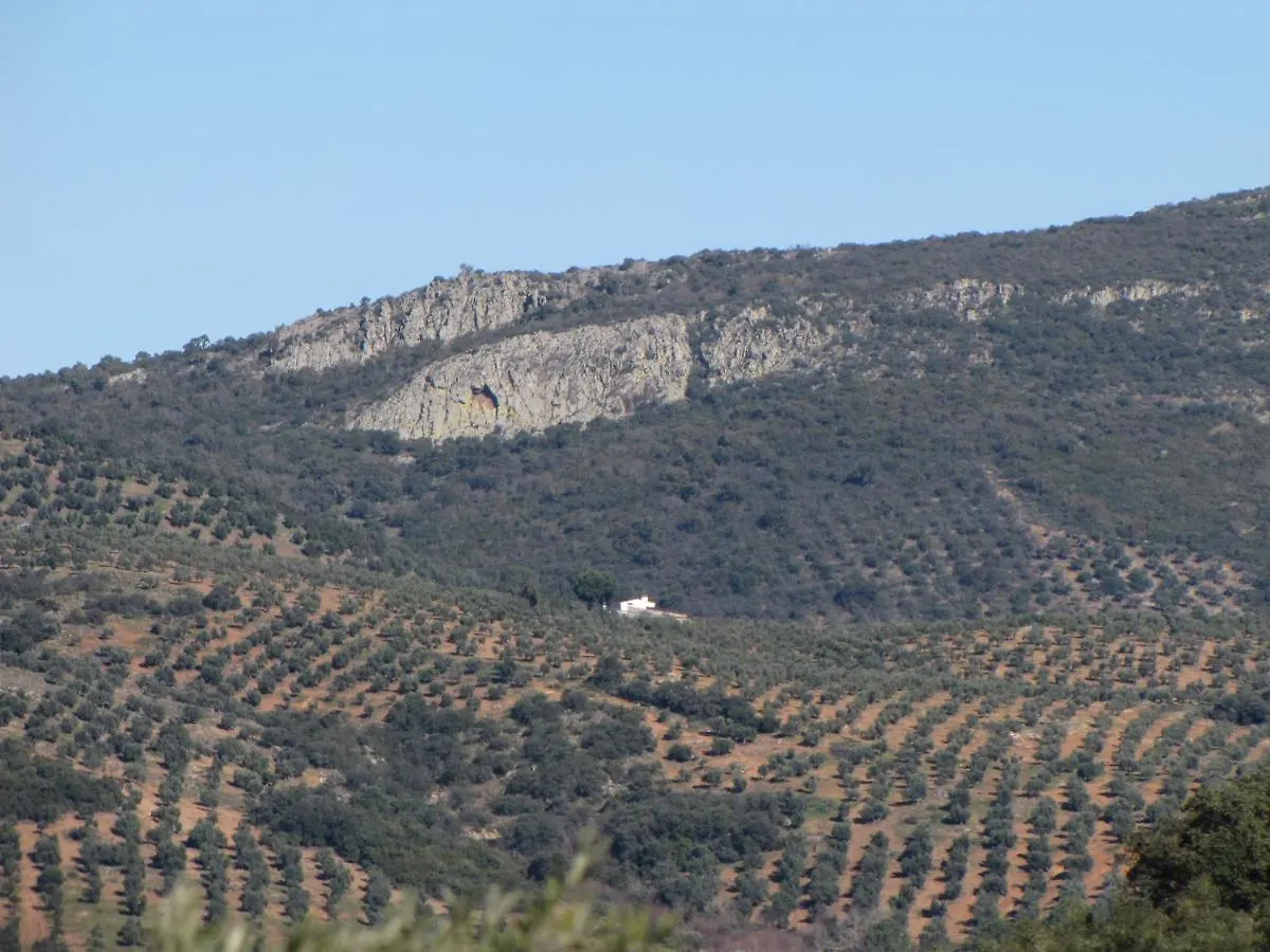 Дом отдыха Вилла Cortijo 