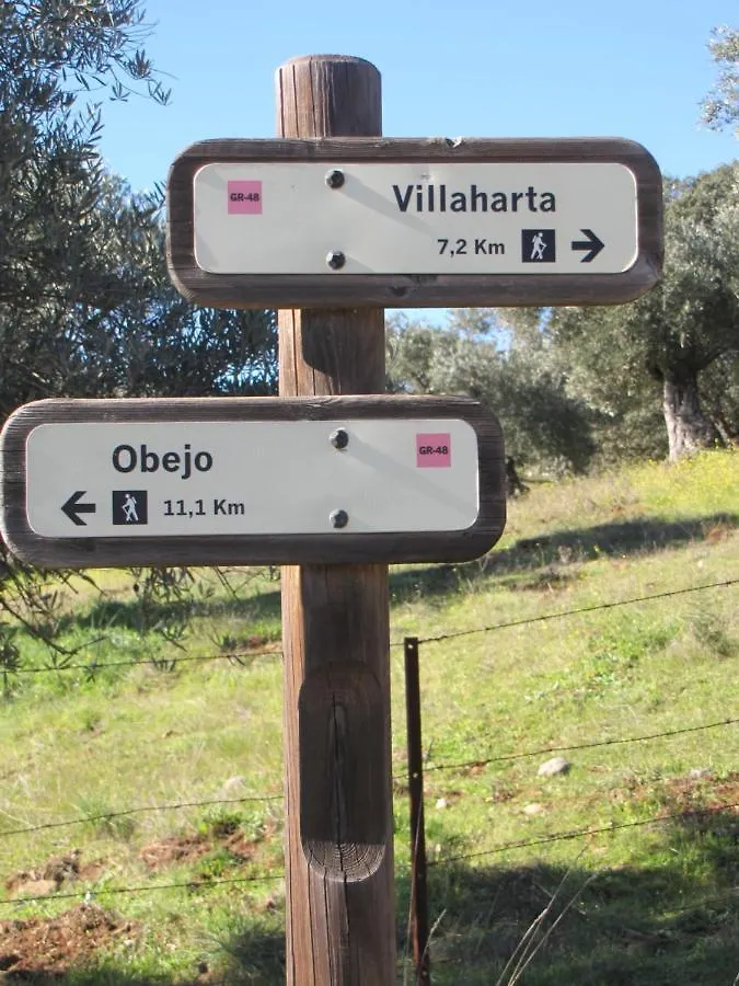 Вилла Cortijo 