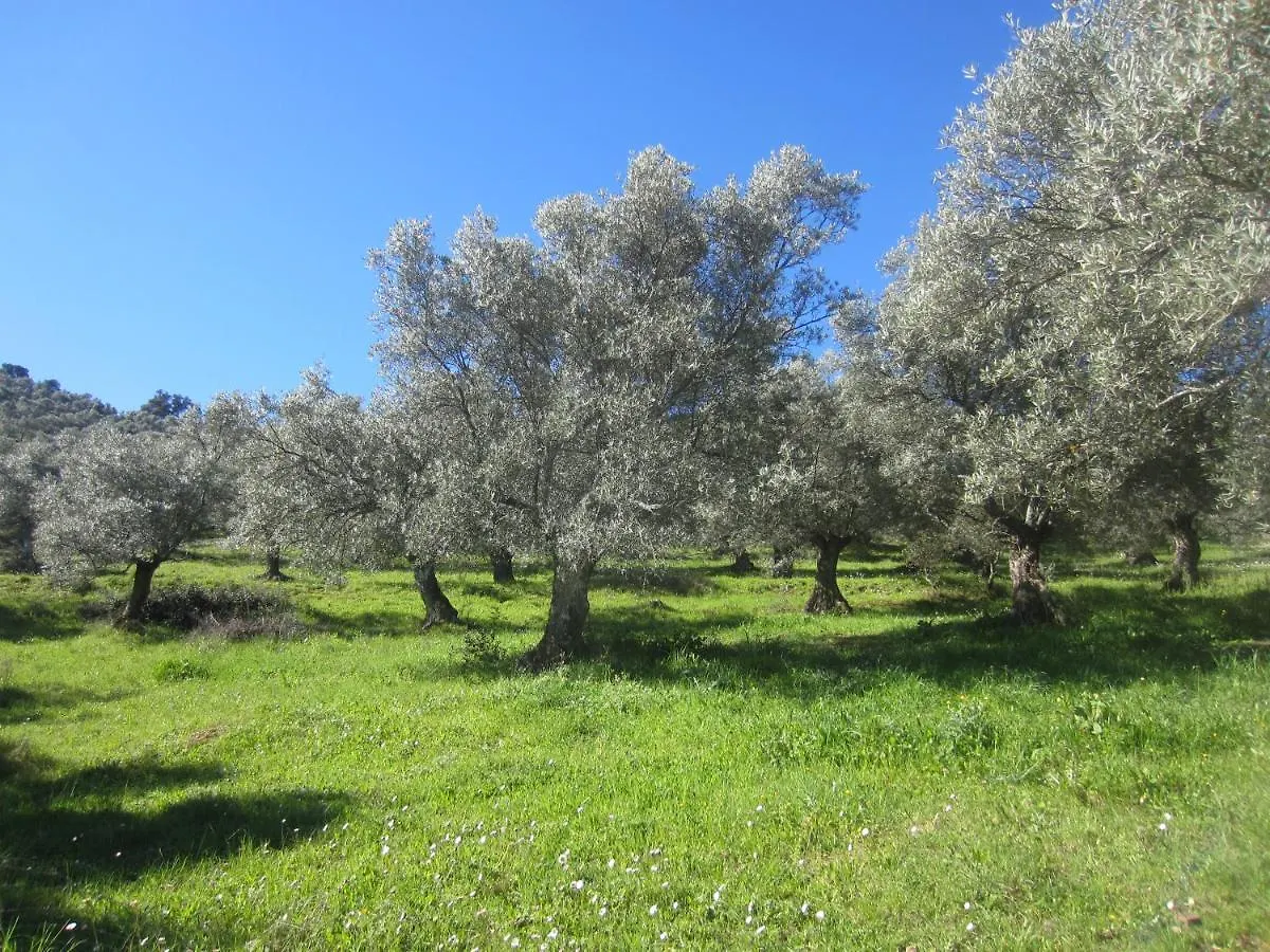 Дом отдыха Вилла Cortijo 