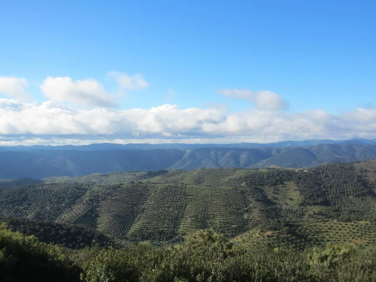 Holiday home Cortijo 