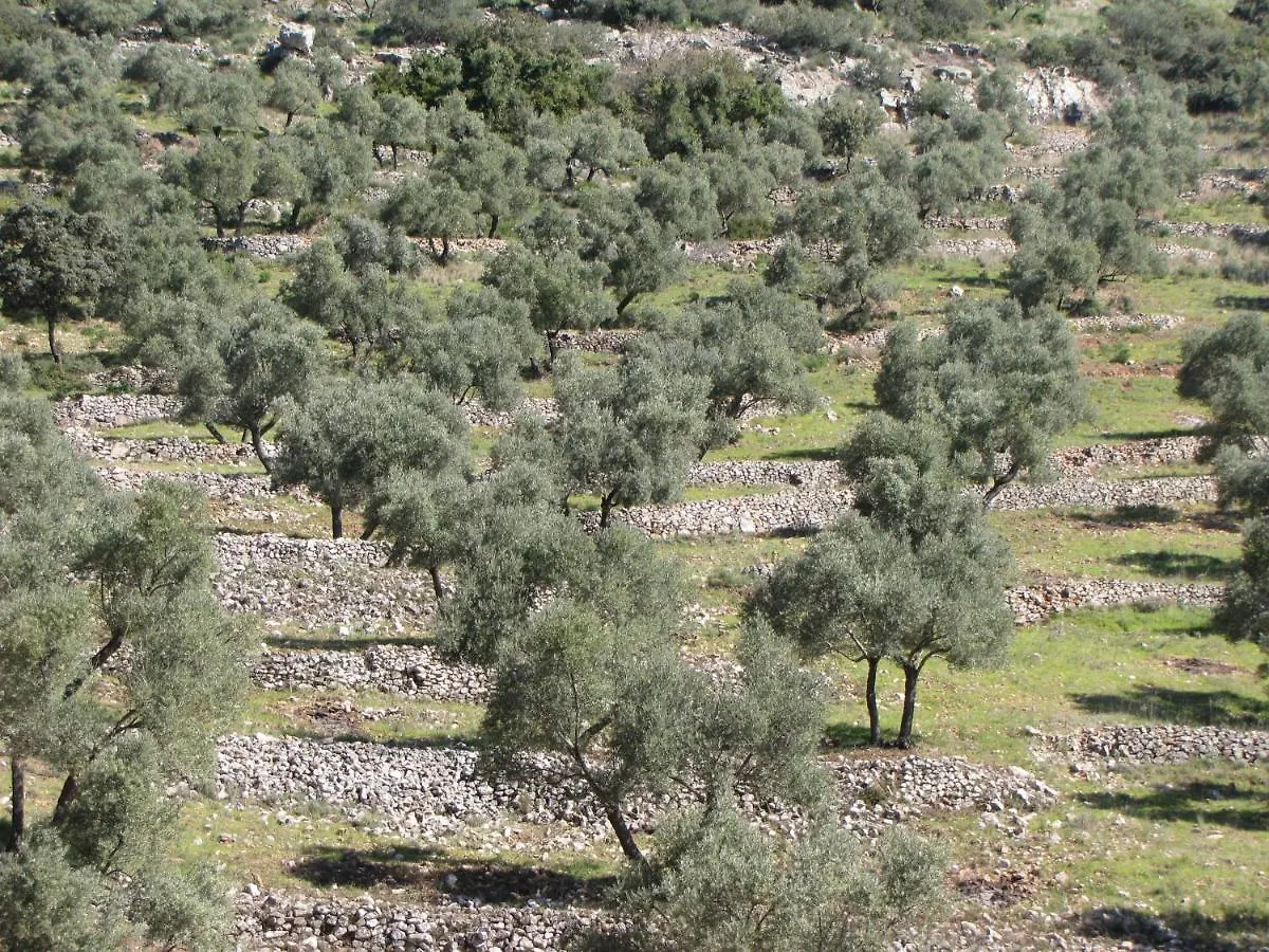 Cortijo 